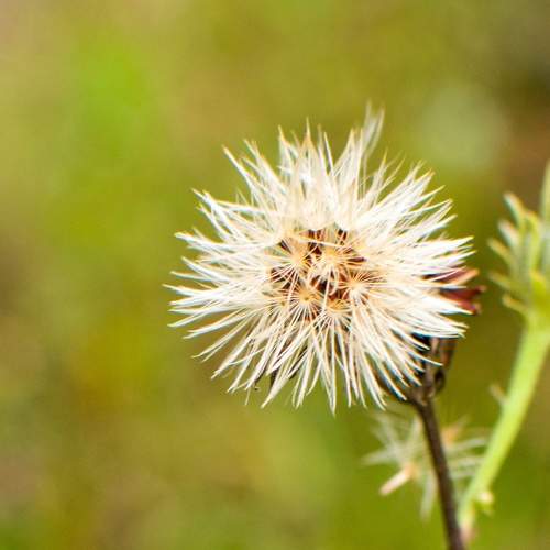 Photo #8349548