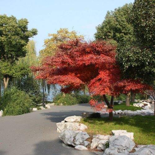 Photo #8349569