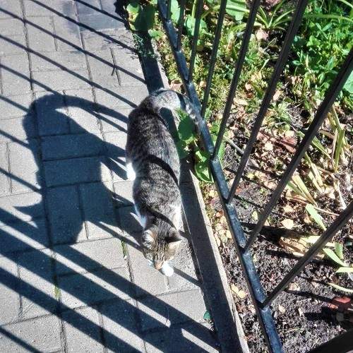Photo #8349804