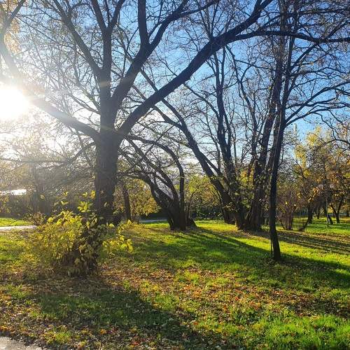 Photo #8349846