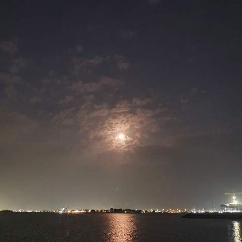Photo #8349876