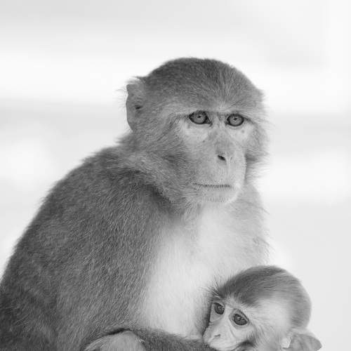 Photo #8350076