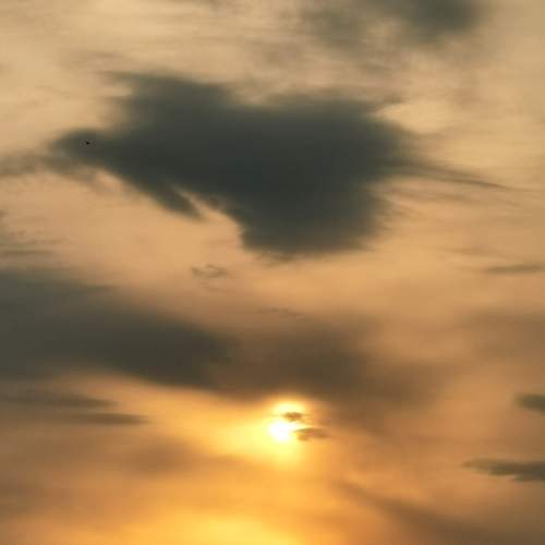 Photo #8350317