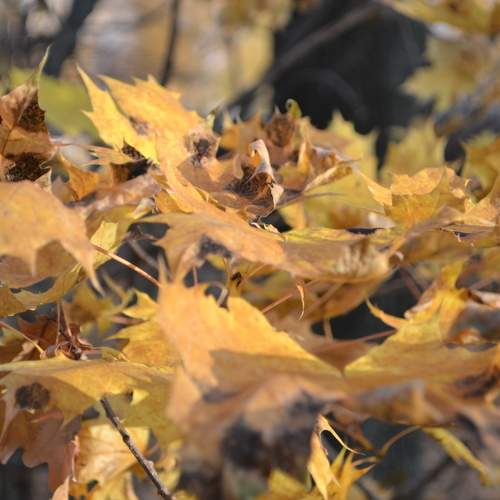 Photo #8350415