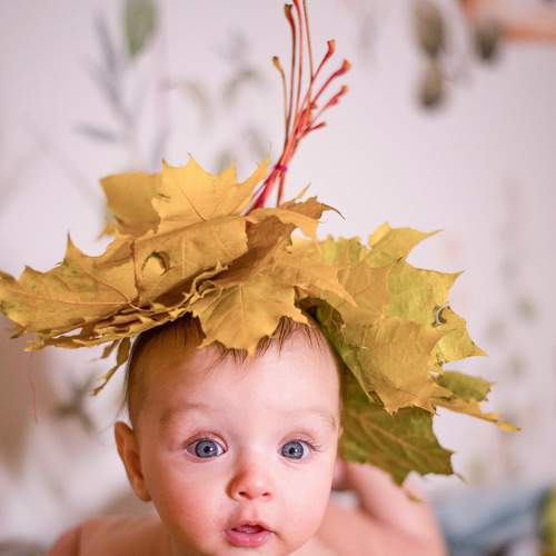 Photo #8350950