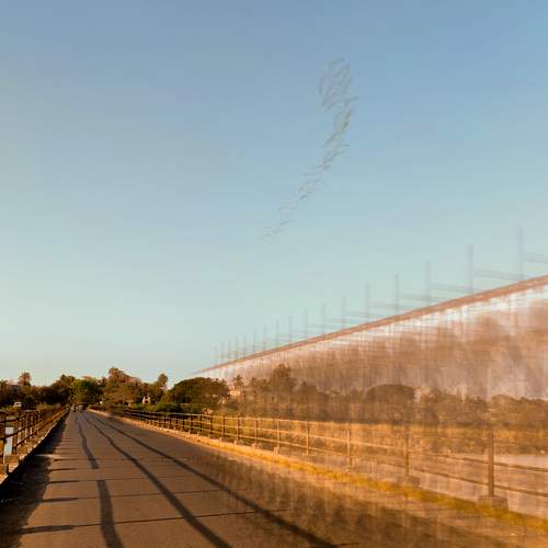 Photo #8351164