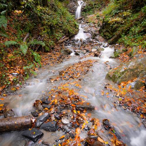Photo #8351338