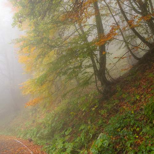 Photo #8351341