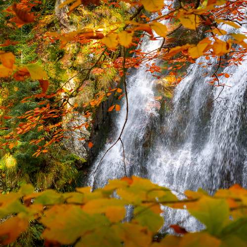 Photo #8351384