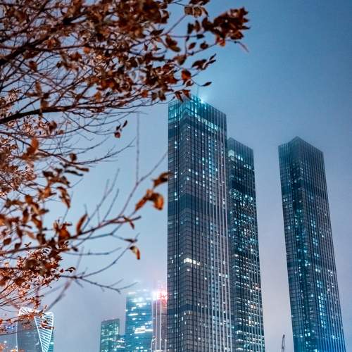 Photo #8351413