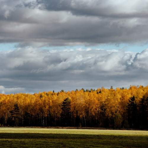 Photo #8351431