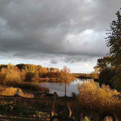 Photo #8351582
