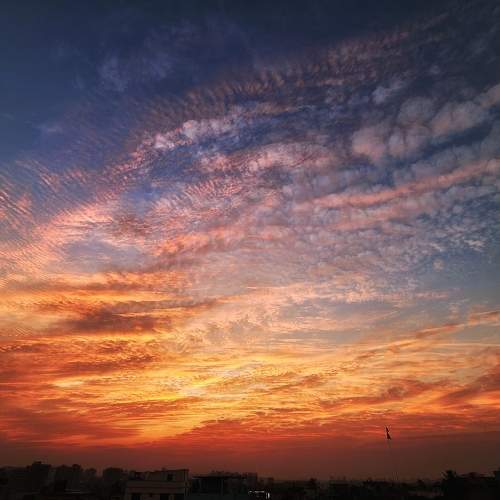 Photo #8351628