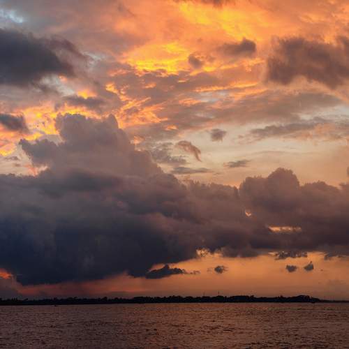 Photo #8351672