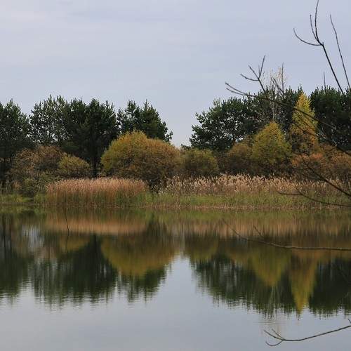 Photo #8351929