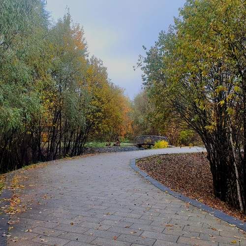 Photo #8351976