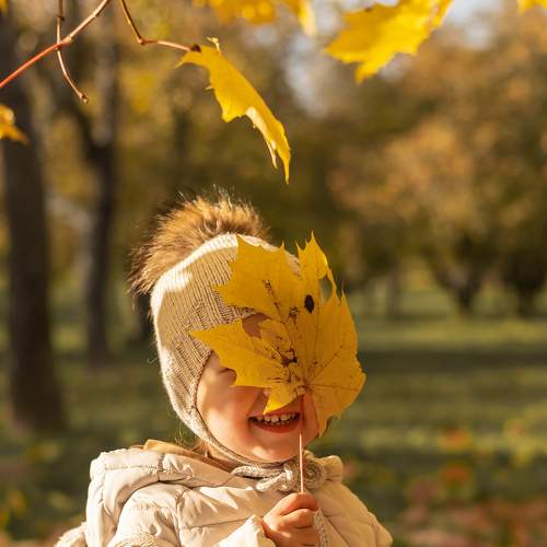 Photo #8352310