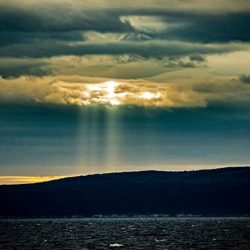 Photo #8352572