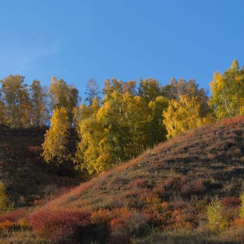 Photo #8352701