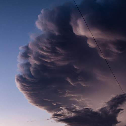 Photo #8352784