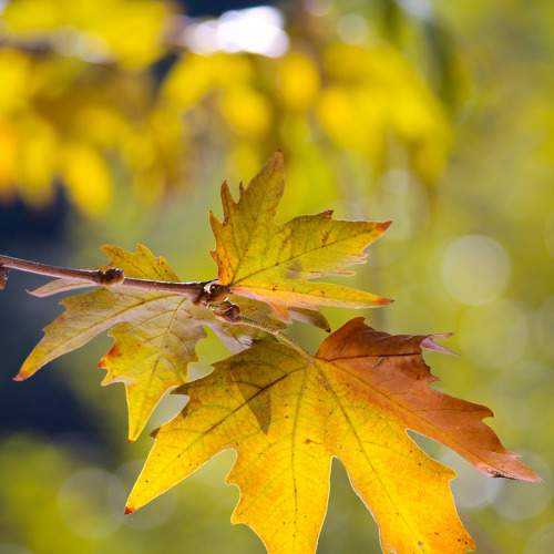 Photo #8352916