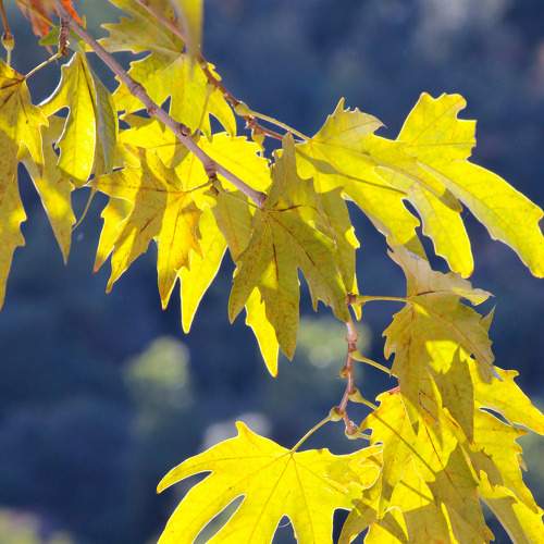 Photo #8352917