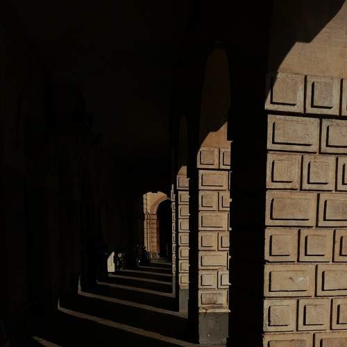 Photo #8353055