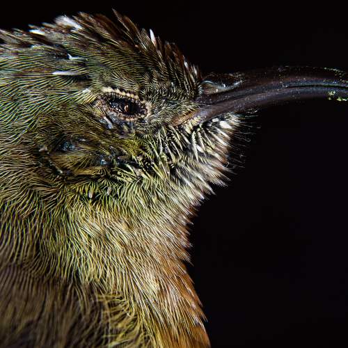 Photo #8353817