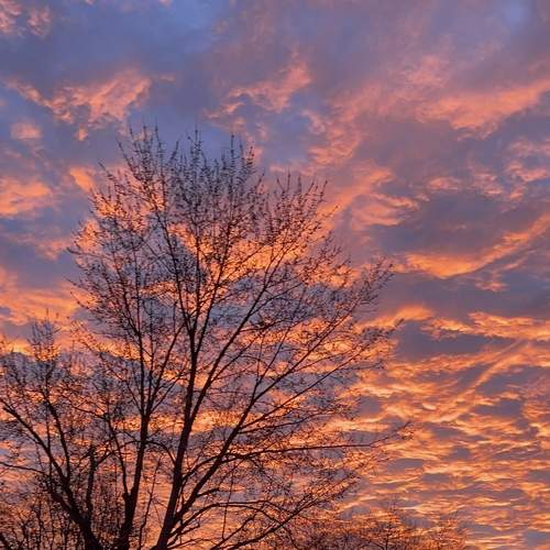 Photo #8354120