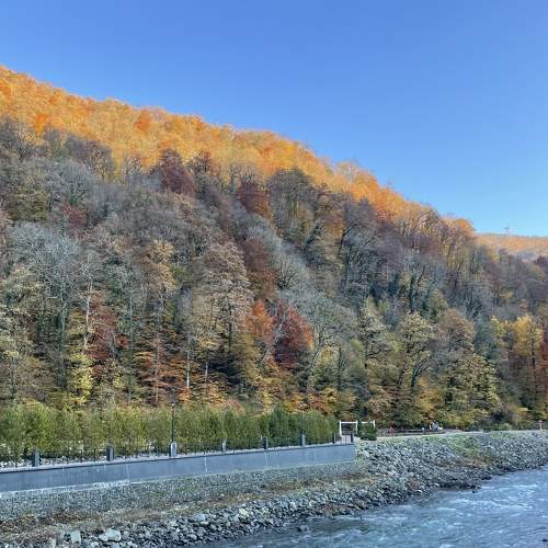 Photo #8354213
