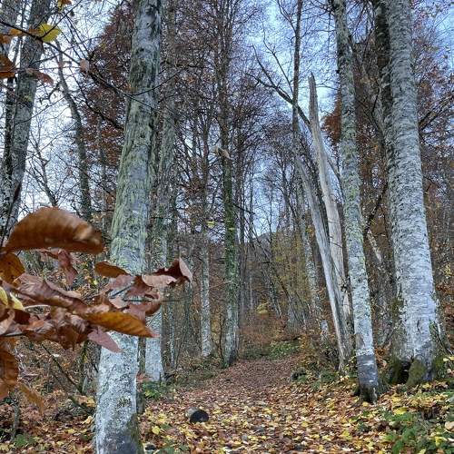 Photo #8354216