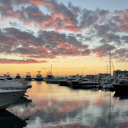 Photo #8354357
