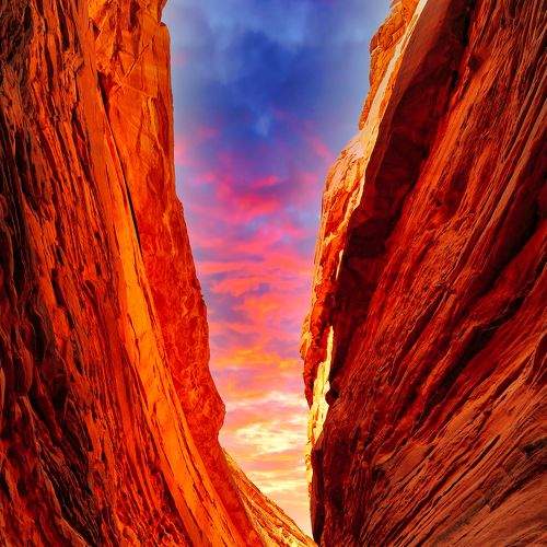 Photo #8354564