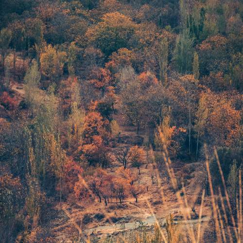 Photo #8354590