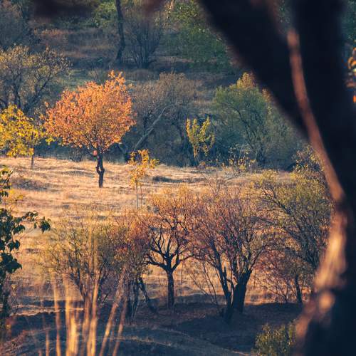 Photo #8354591