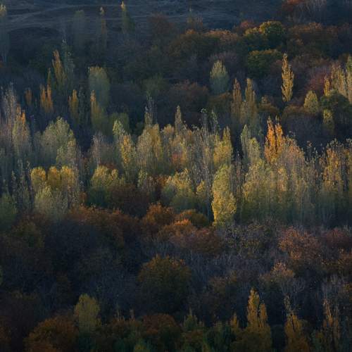 Photo #8354673
