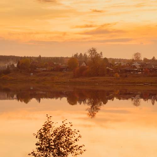 Photo #8354702