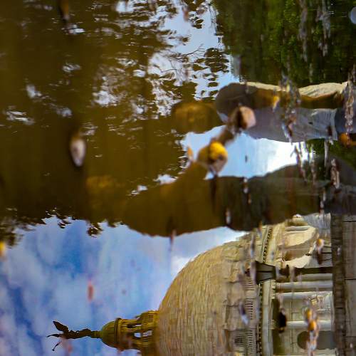 Photo #8355092