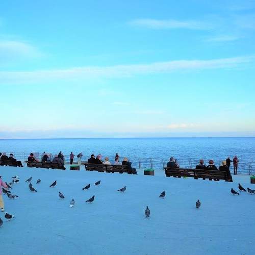 Photo #8355256