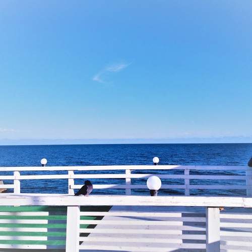 Photo #8355258