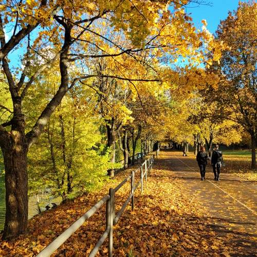 Photo #8355271