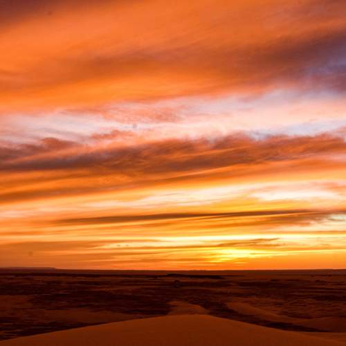 Photo #8355488
