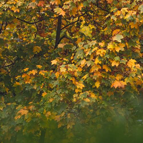 Photo #8355595