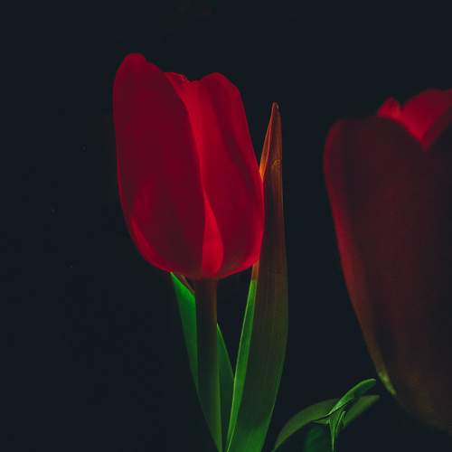 Photo #8355662