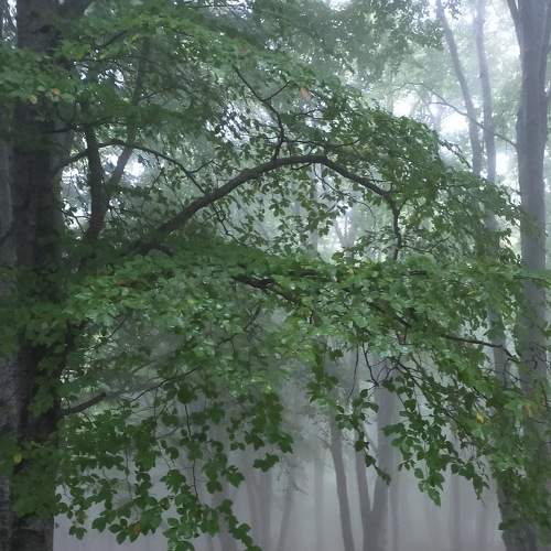 Photo #8355937