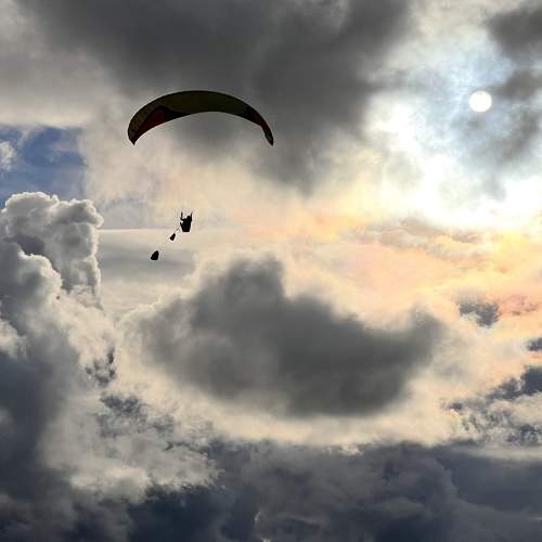 Photo #8355945