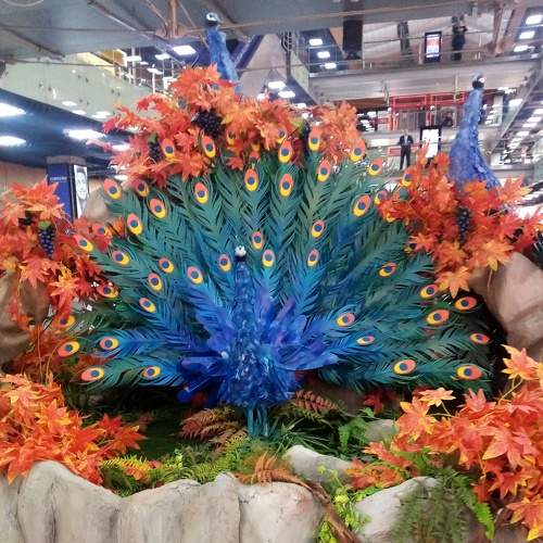Photo #8356130