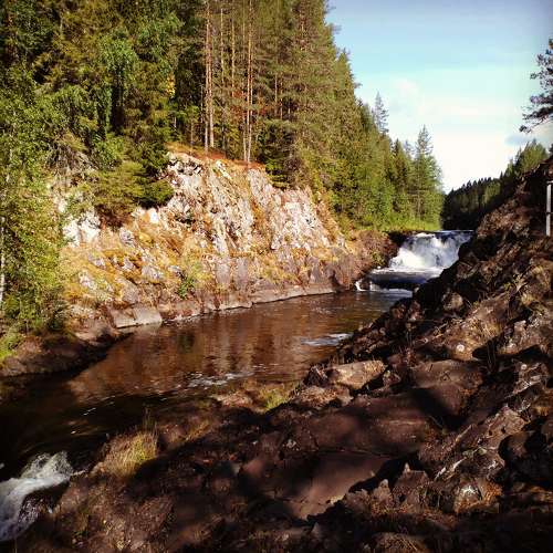 Photo #8356322