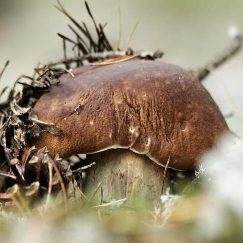 Photo #8356467