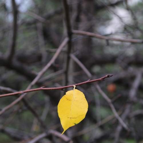 Photo #8356802